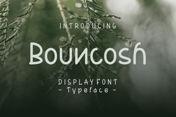 Bouncosh: A Friendly Display Font for Small Business Branding