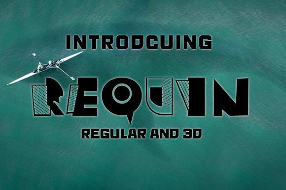 Requin Display Font for Professional Branding